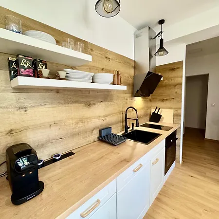 Orgovanova Apartment, Apartmán