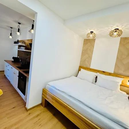 Orgovanova Apartment, Apartmán Zilina